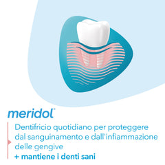 Close-up of Meridol label on toothpaste tube