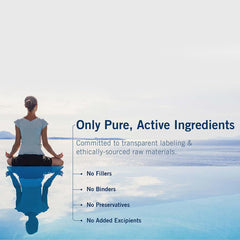 Bioactive B-vitamin forms shown: R5P, P5P, 5-MTHF, methylcobalamin