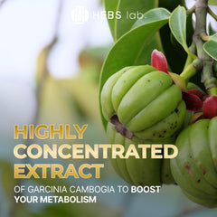 Metabolism booster weight loss pills