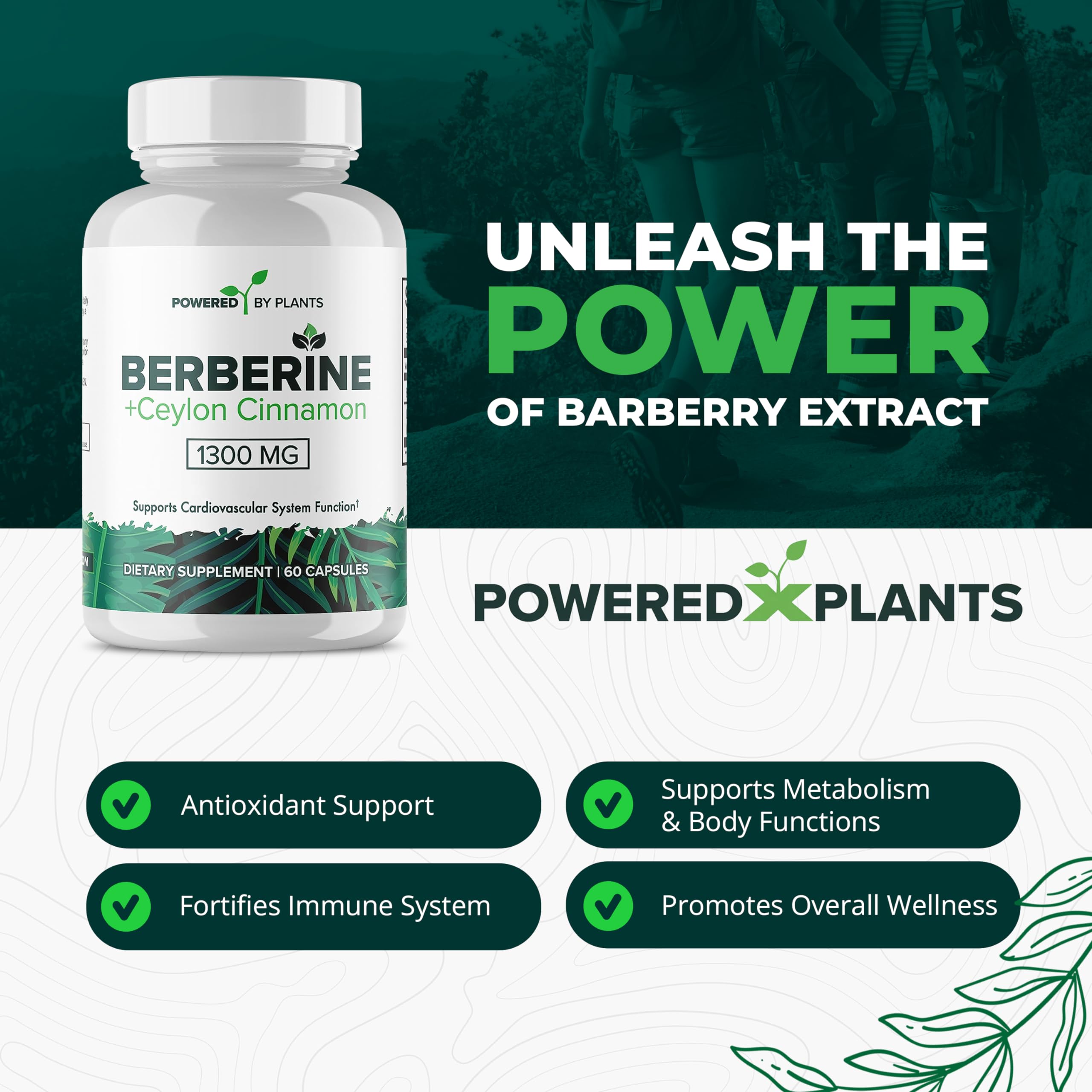 Close-up of berberine and cinnamon for metabolism support