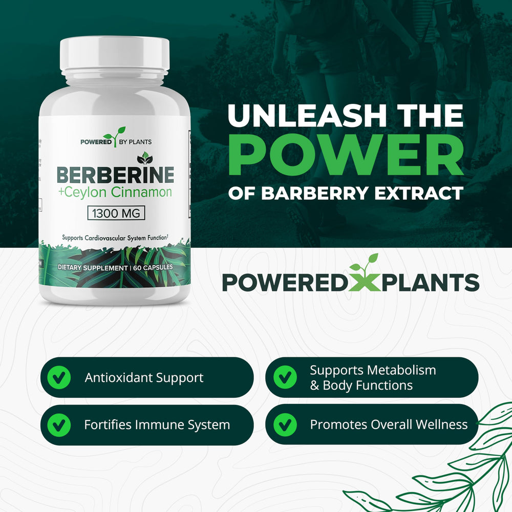 Close-up of berberine and cinnamon for metabolism support