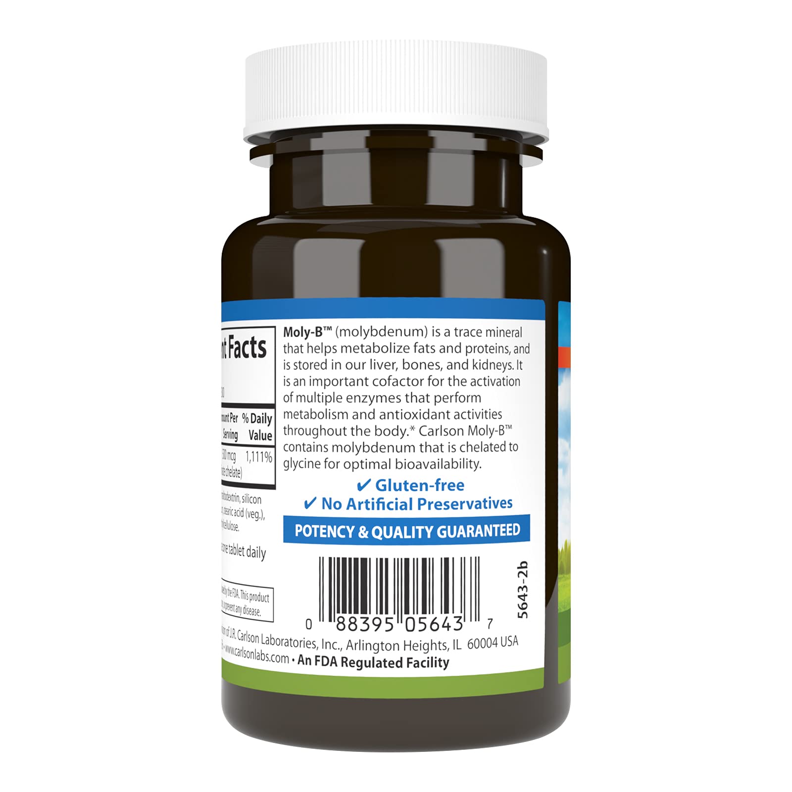 Metabolism support graphic