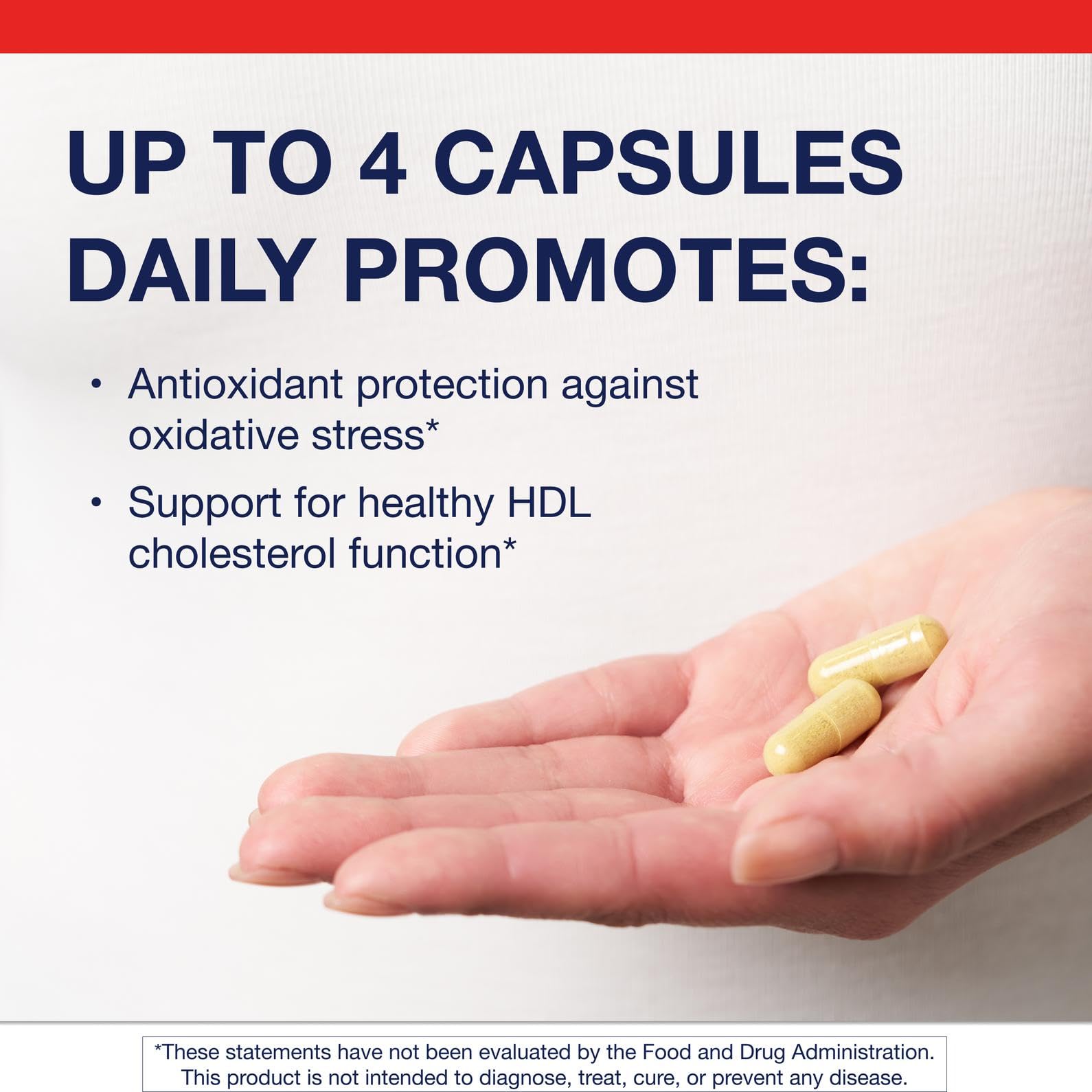 HDL function and cholesterol balance concept