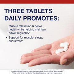 Chelated minerals absorption concept