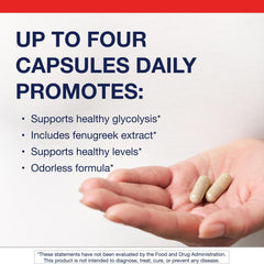 Bitter melon fruit extract (10:1) capsule image