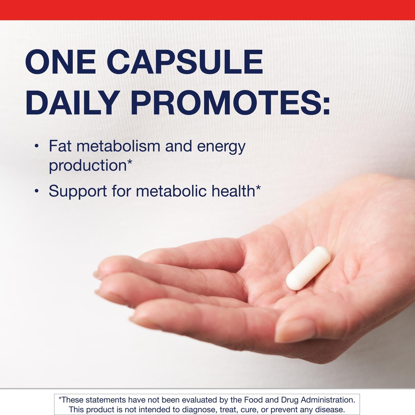 Back panel with ingredients and directions for Metagenics L-Carnitine