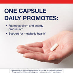 Back panel with ingredients and directions for Metagenics L-Carnitine