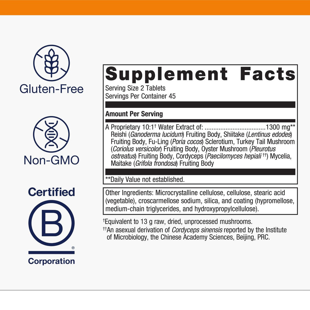 Close-up of Reishi mushroom used in Mycotaki formula