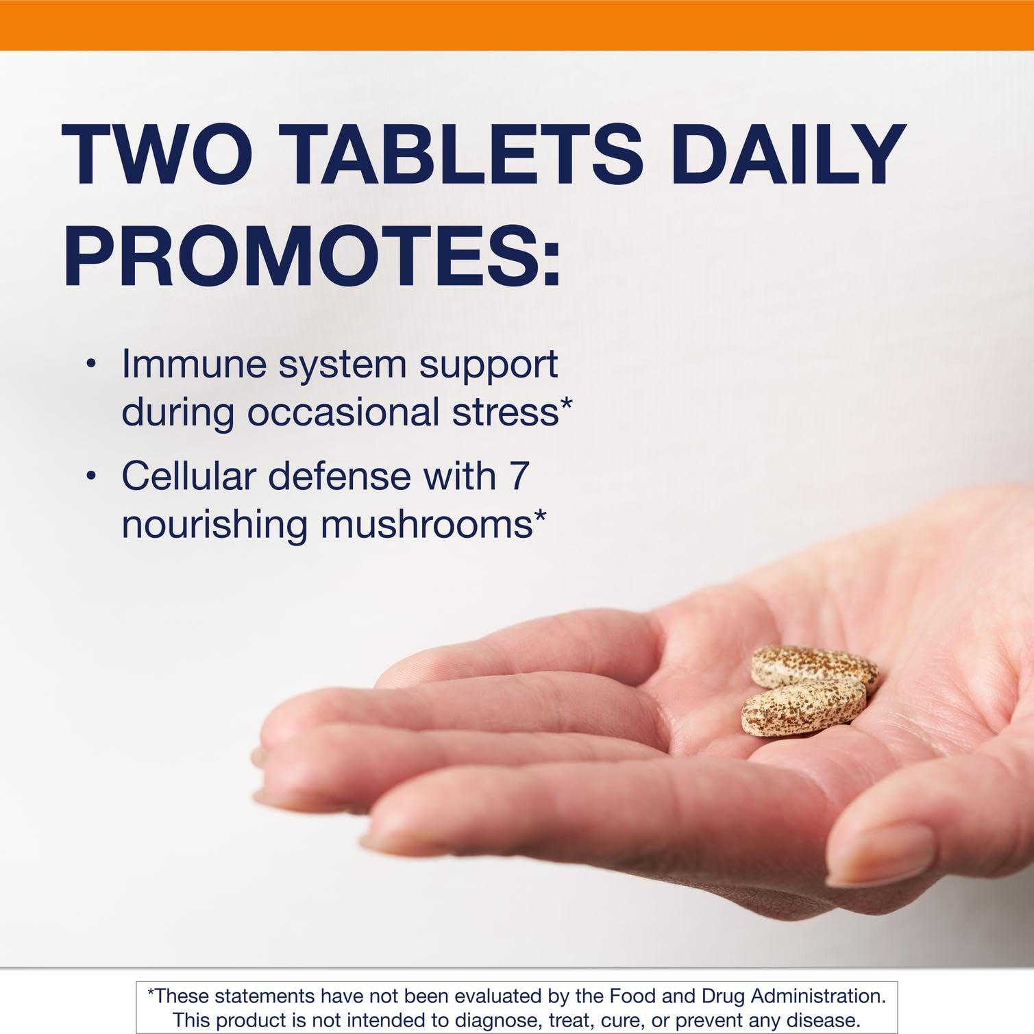 Shiitake mushroom included in the Mycotaki blend