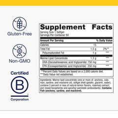 Brain health concept for omega-3 DHA and EPA benefits