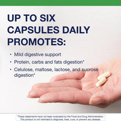 Graphic showing digestion of protein, fat, and carbohydrate by enzymes