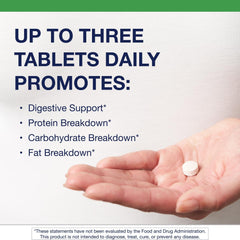 Enzyme mix for protein, fat and carbohydrate digestion