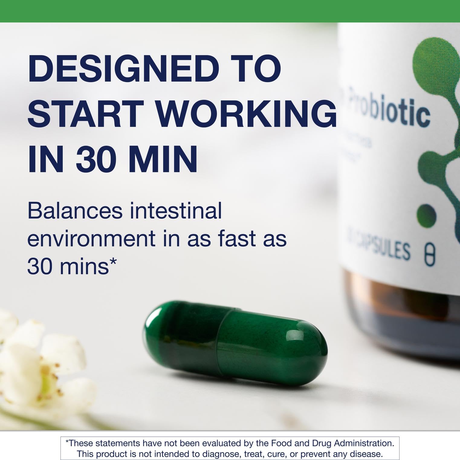 Illustration of Saccharomyces boulardii, Lactobacillus and Bifidobacterium strains