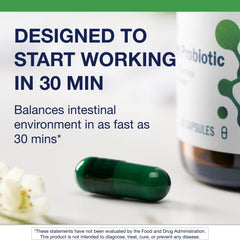 Illustration of Saccharomyces boulardii, Lactobacillus and Bifidobacterium strains