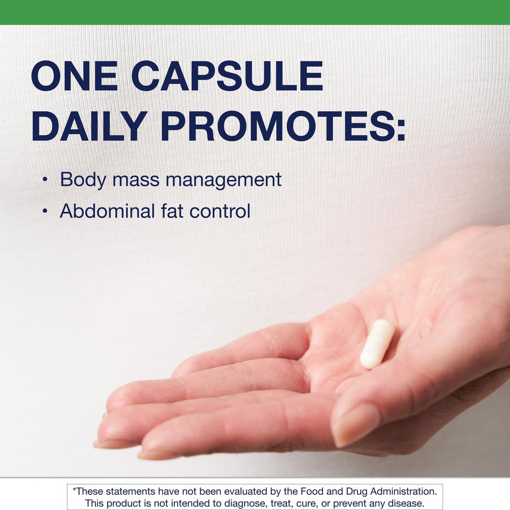 Illustration of Bifidobacterium lactis B420 strain