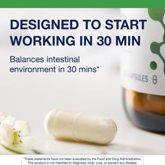 Illustration of Lactobacillus acidophilus NCFM and Bifidobacterium lactis Bi-07