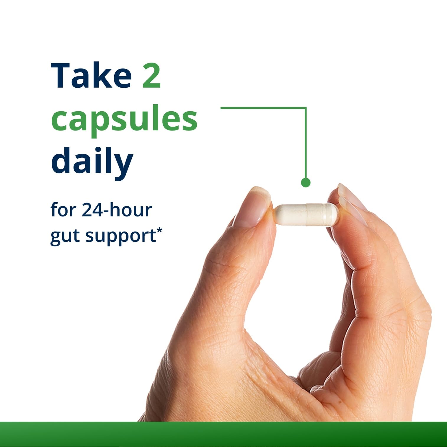 Illustration of gut health and digestive balance