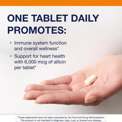 Graphic highlighting 6000 mcg allicin potency