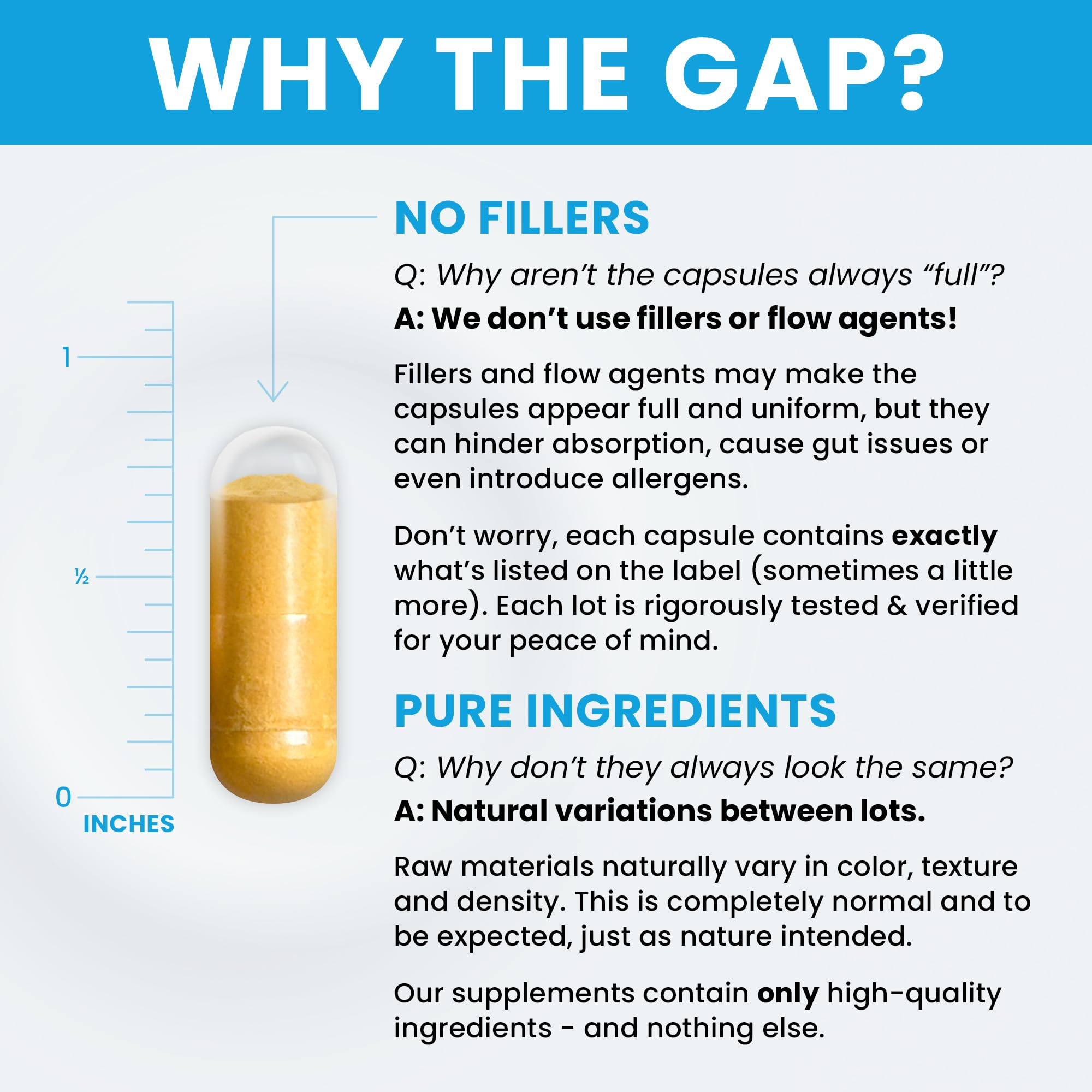 B2, B6, and TMG ingredients highlighted