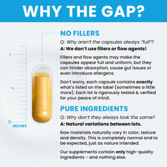 B2, B6, and TMG ingredients highlighted