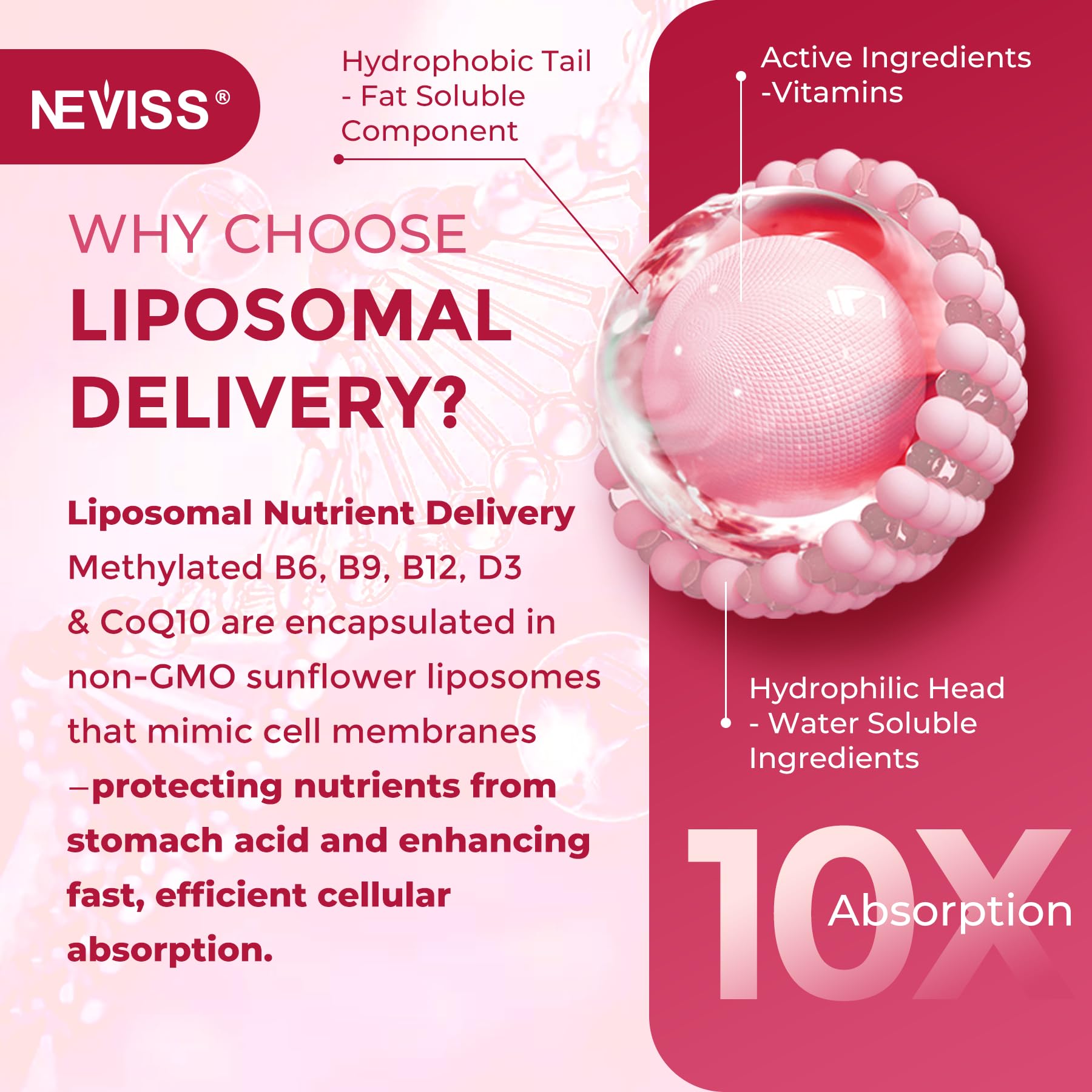 Close-up of ingredients: B12, B6, B9, CoQ10, PQQ