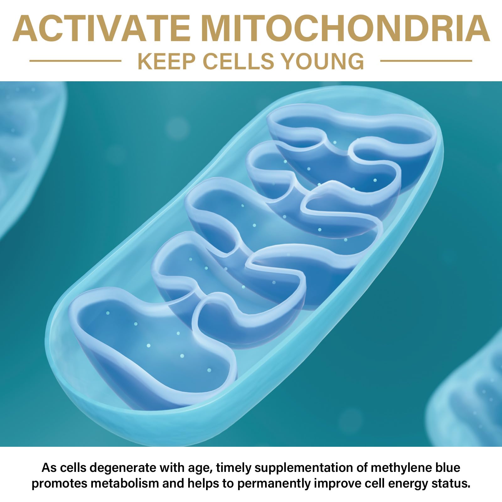 Free from formaldehyde, alcohol, gluten, dairy, soy, sugar in Methylene Blue Drops 1%