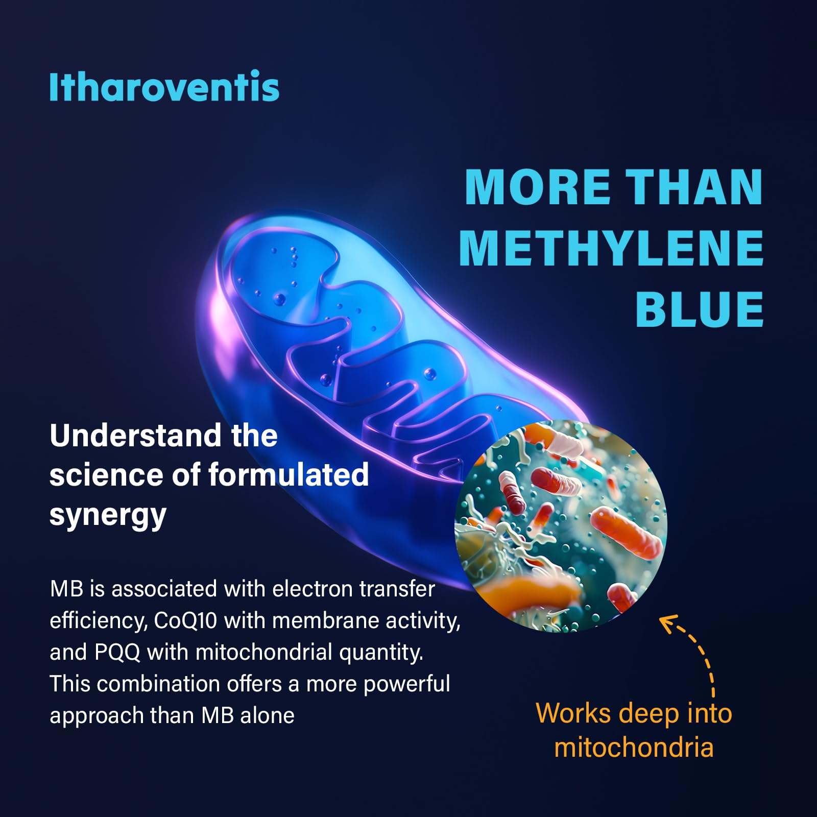 Product blend showing CoQ10, NAC, PQQ, Glycine and Vitamin C