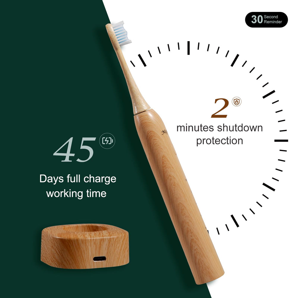 Two bamboo toothbrush heads with natural bristles