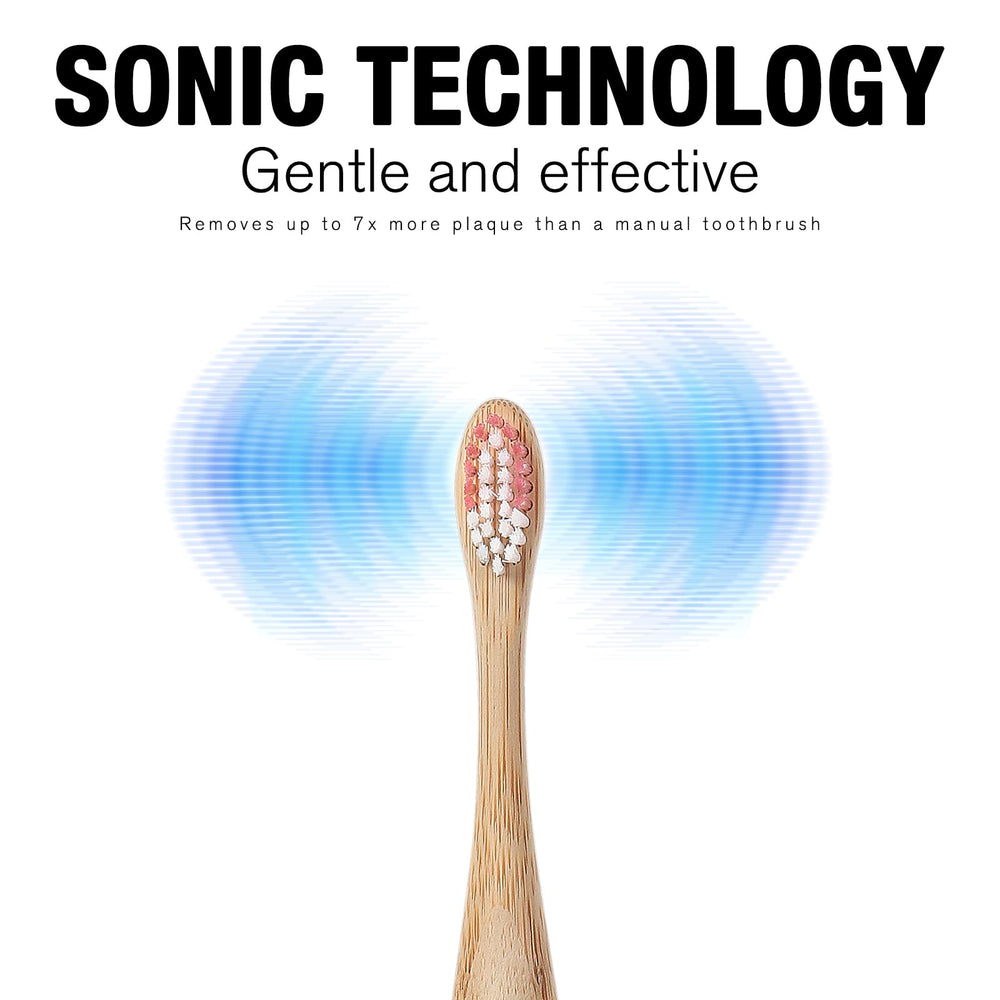 Family-friendly toothbrush with replaceable heads