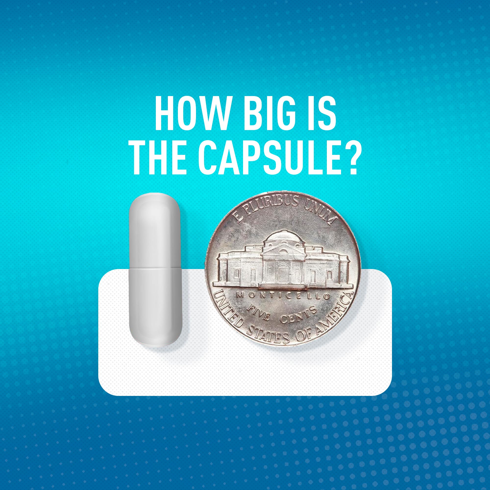 Label listing B6, D, and E vitamins in MGSPORT capsules