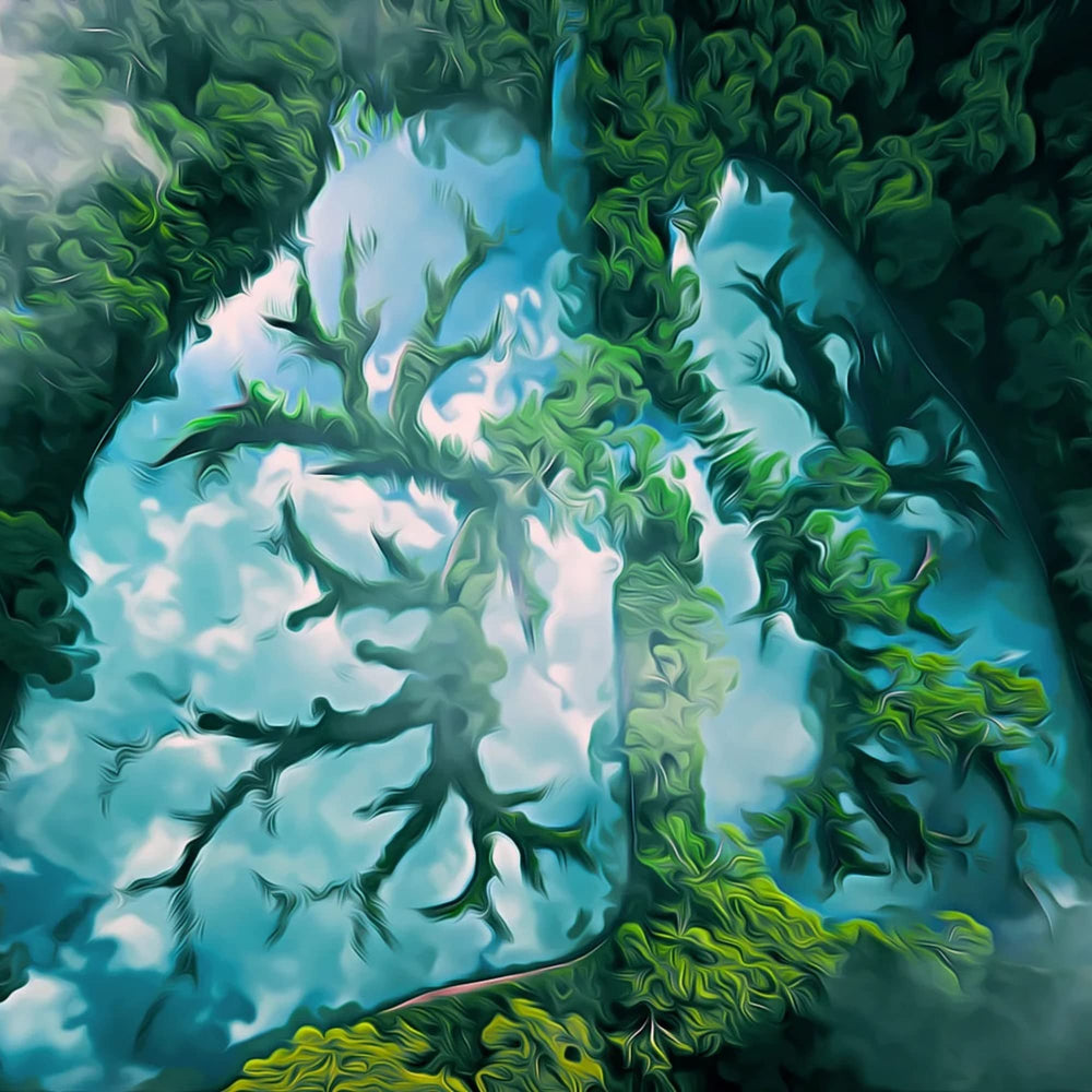 Nutrients panel showing Vitamin B6, Calcium, and Magnesium