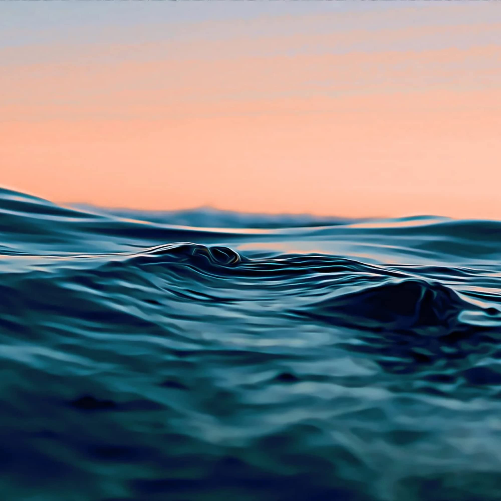 MICHAEL'S Water Balance Factors ingredient panel, includes potassium and vitamin B6 for balance.