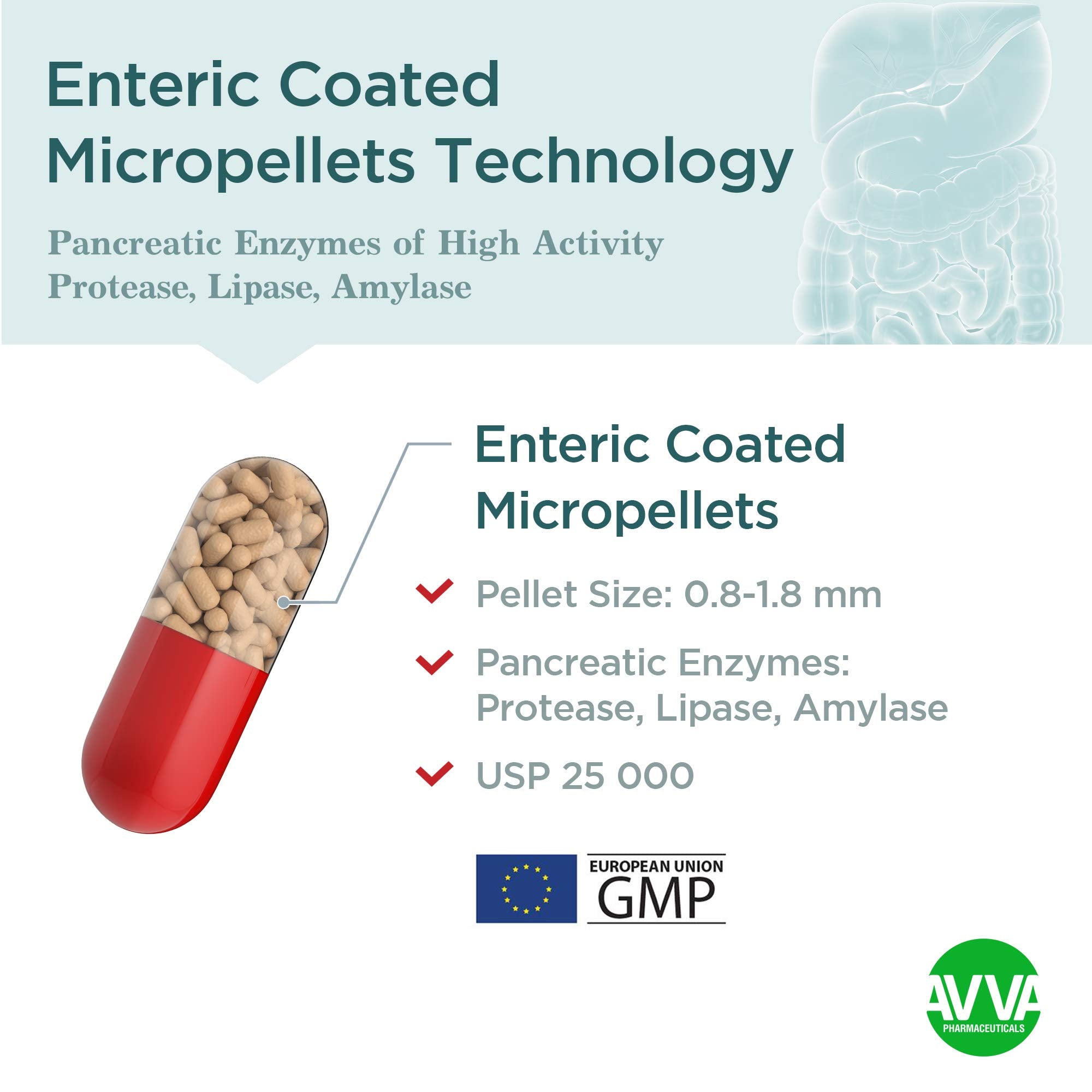 Illustration of amylase, lipase and protease enzymes