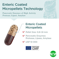 Enteric-coated micropellets protect enzymes from gastric acid