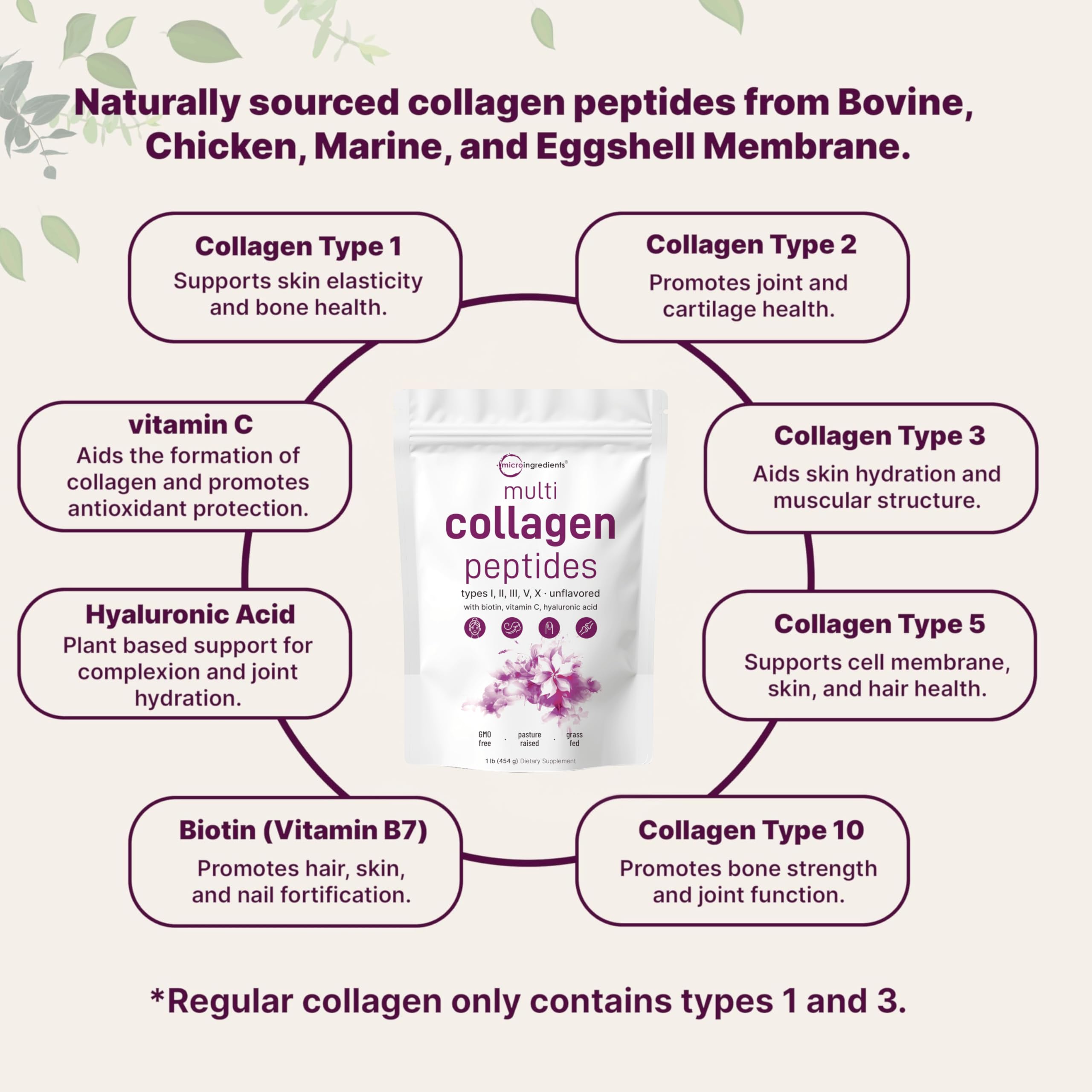 Sources of collagen: bovine, chicken, marine, and eggshell membrane