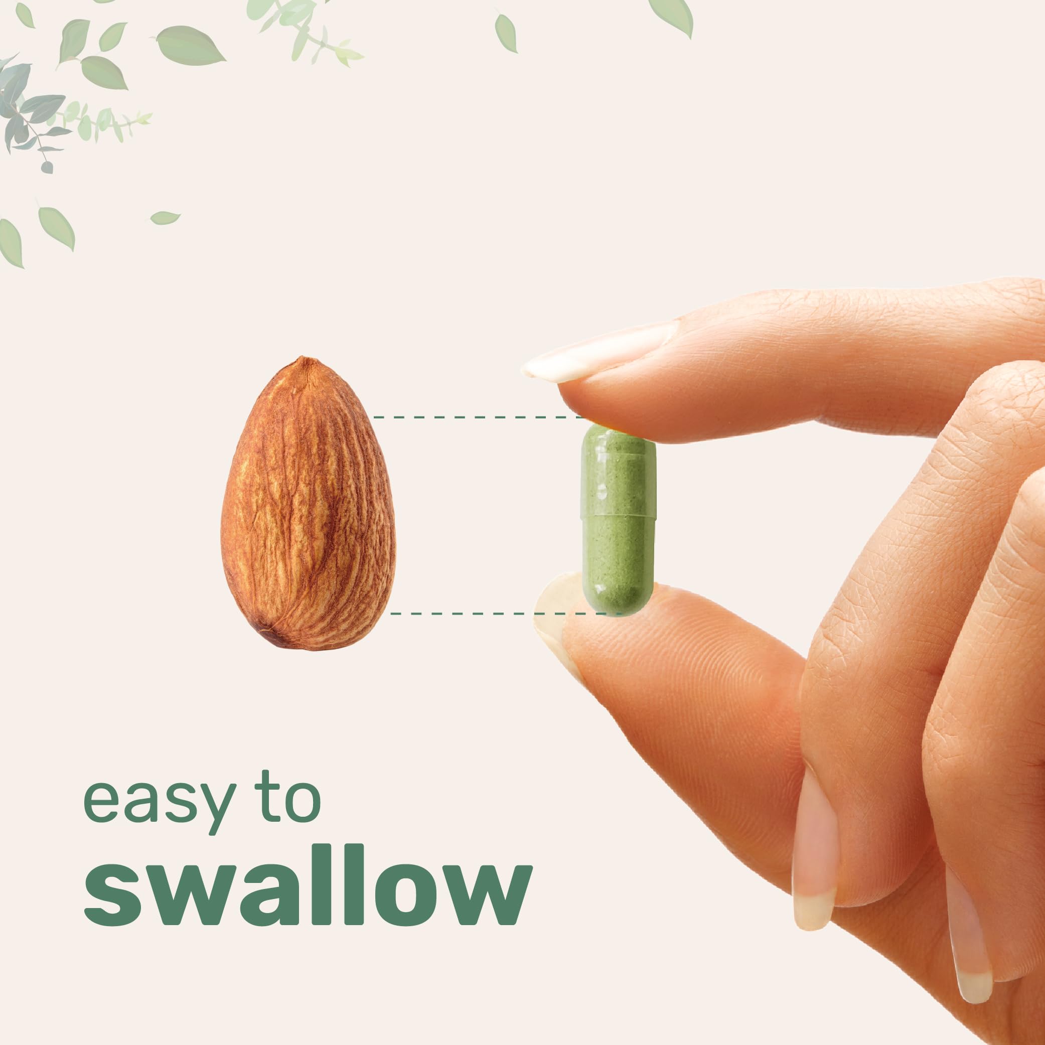 Bottle of Micro Ingredients Moringa Oleifera capsules