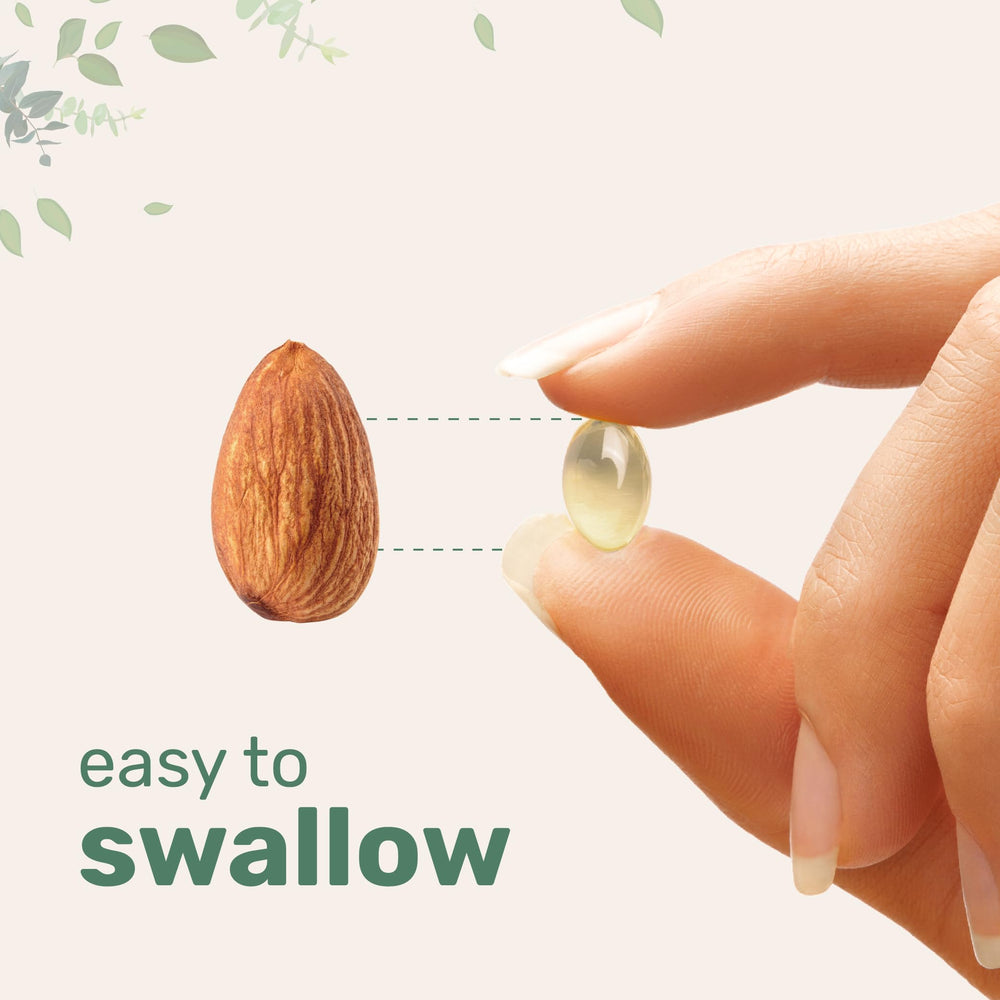 Lifestyle illustration showing Vitamin E supporting skin, hair, heart, and immune health