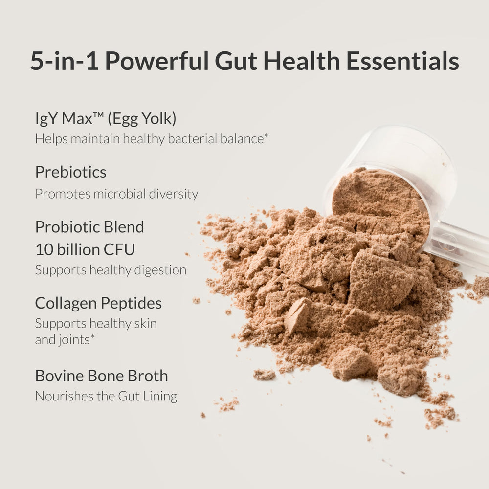 Close-up of ingredient highlights: Lactobacillus strains, bone broth, collagen