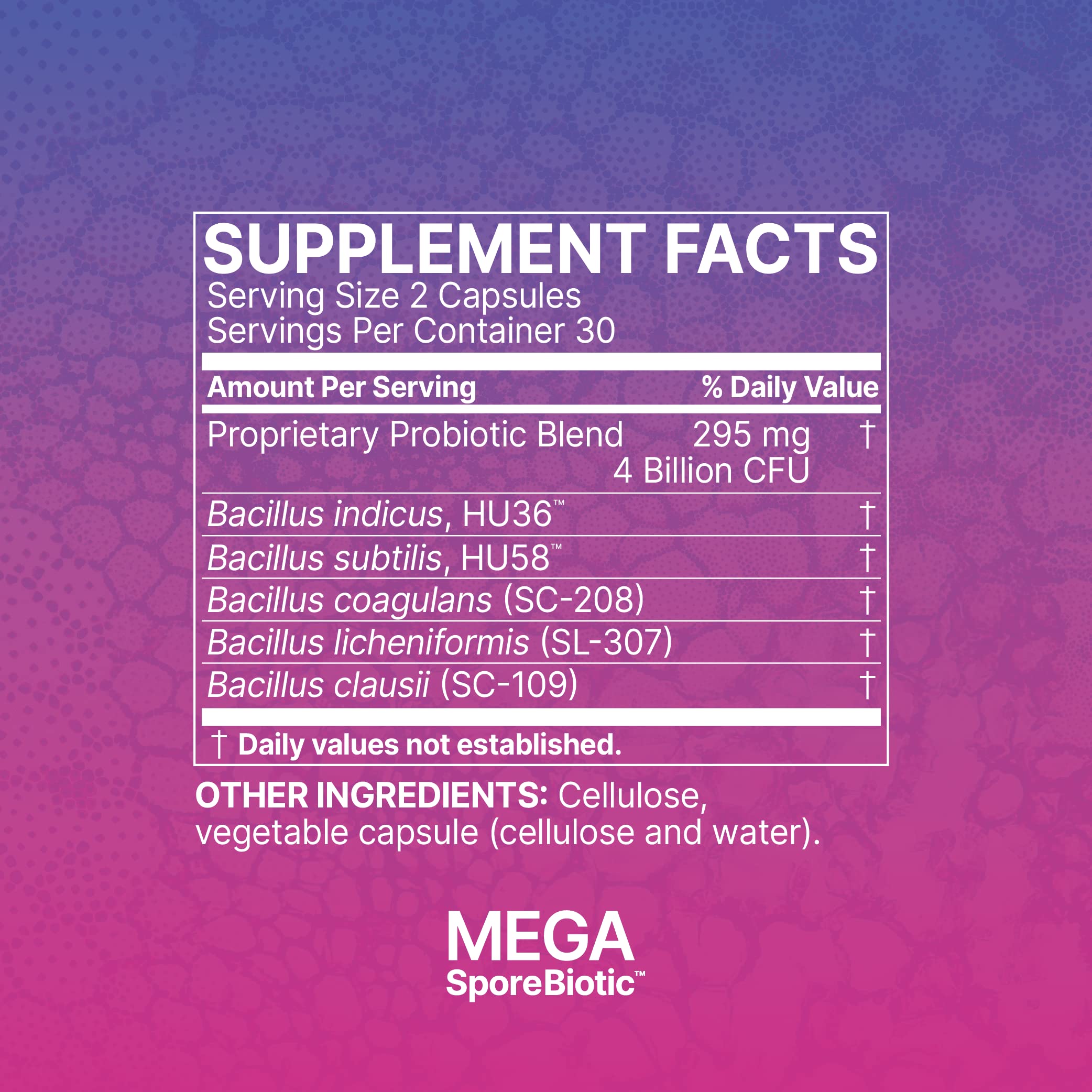 MegaSporeBiotic daily use promotes consistent gut-friendly habits
