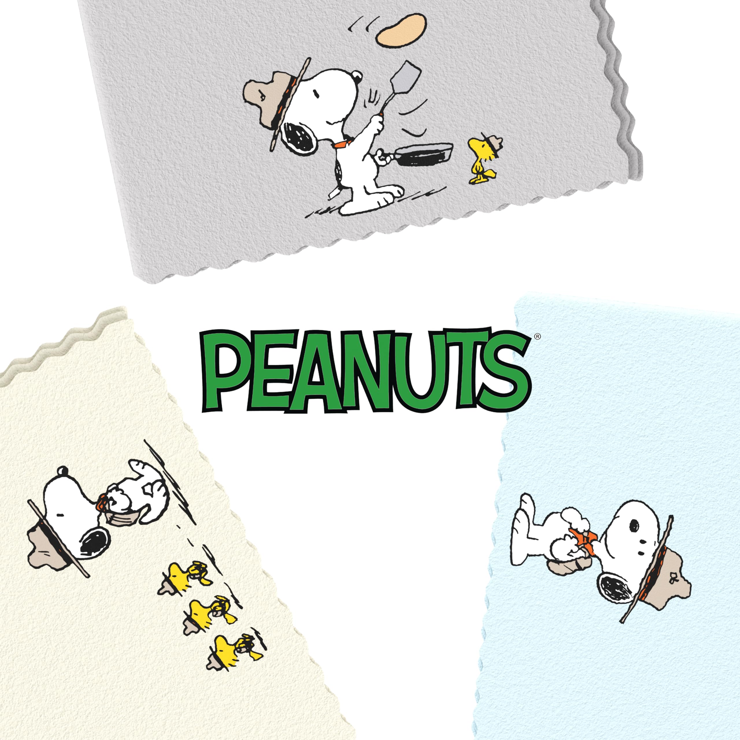 Six-pack Snoopy-themed microfiber cleaning cloths