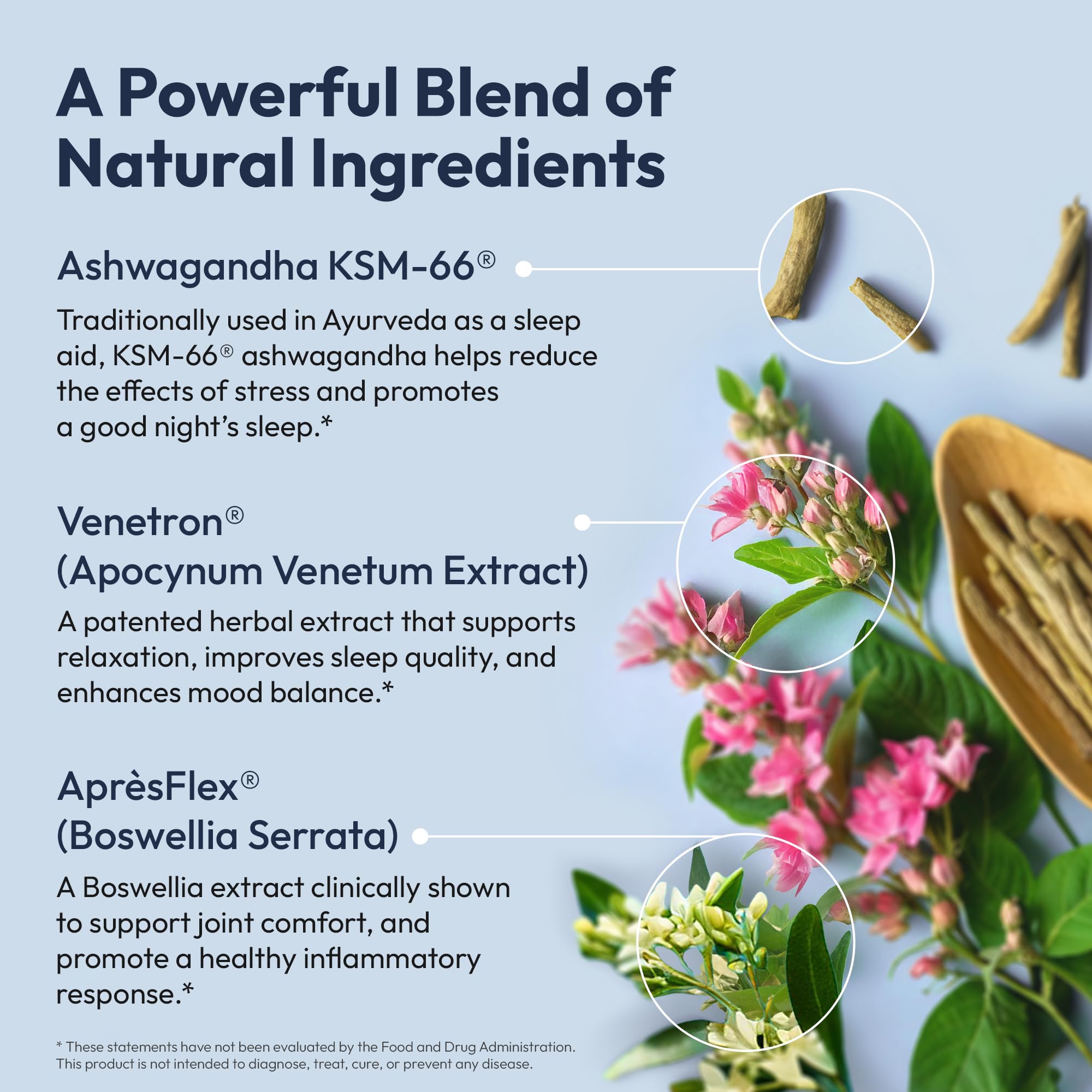 L-Theanine and GABA calming sleep components
