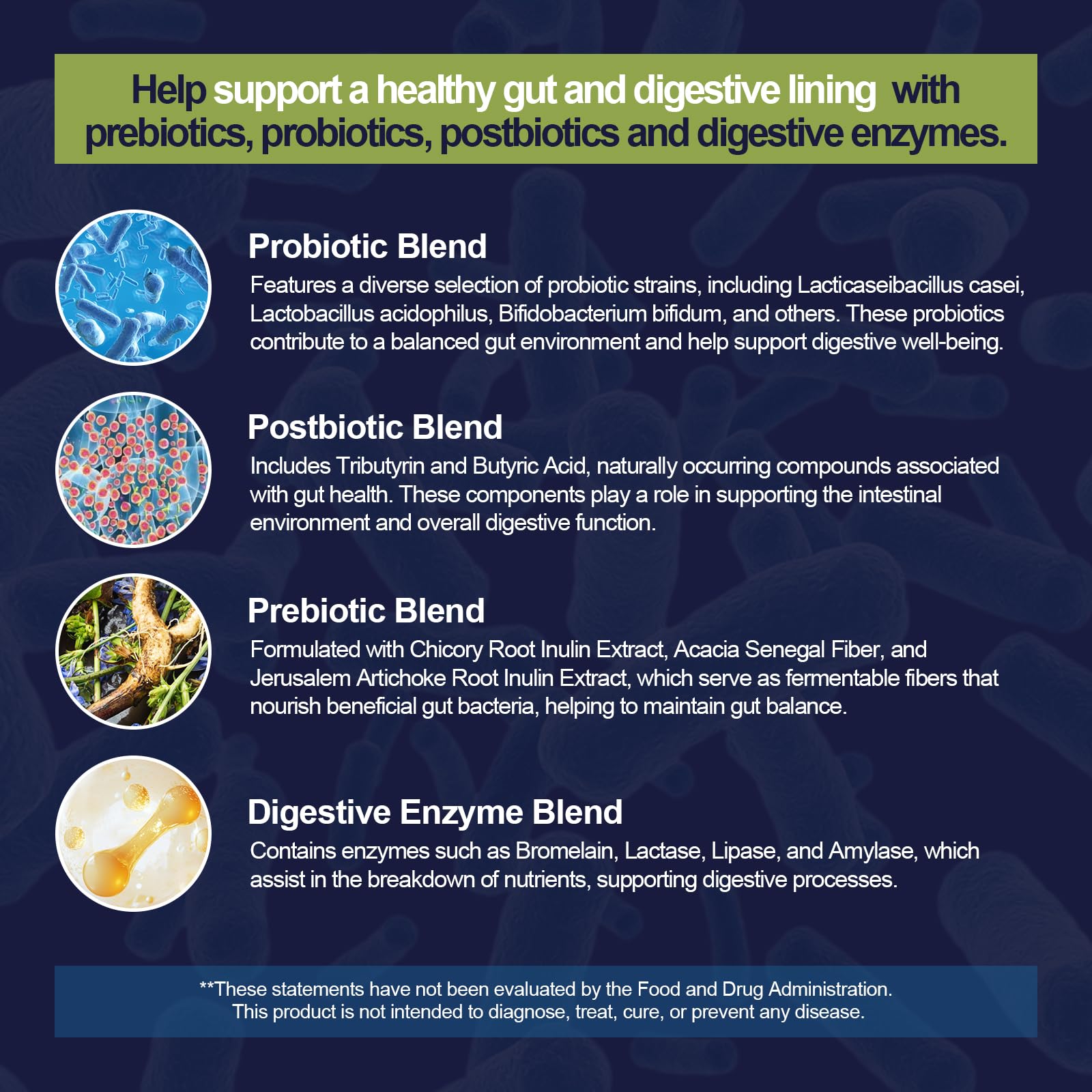 Gut barrier support with zinc L-carnosine and magnesium