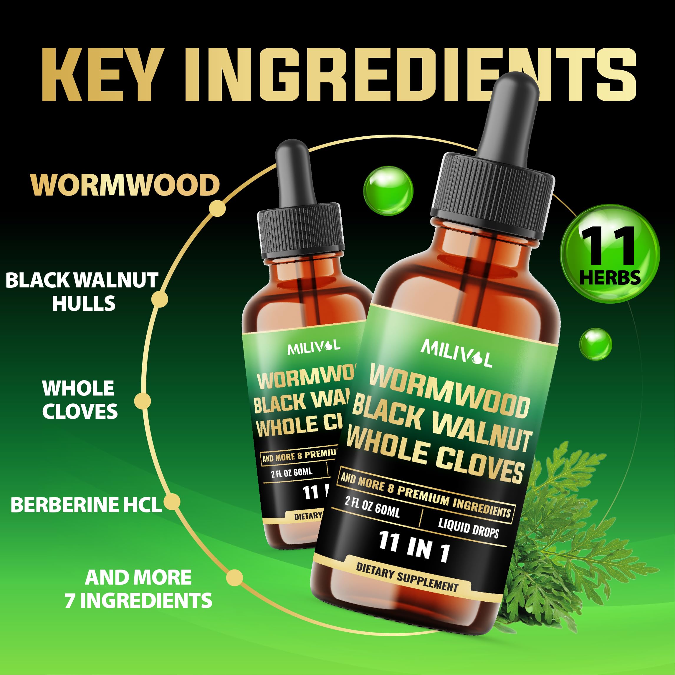 Illustration showing Wormwood with 10 other herbs in the formula