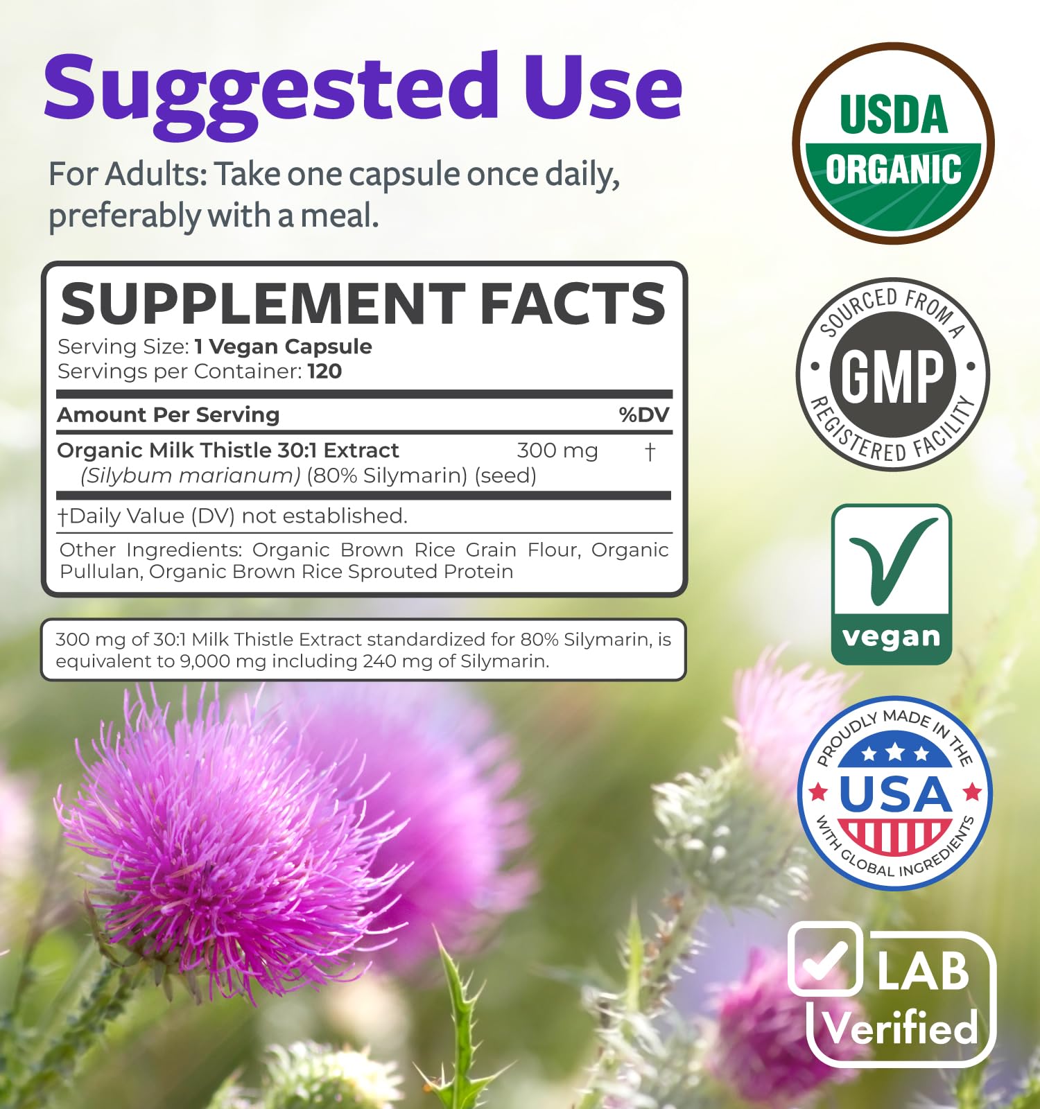 GMP-certified production facility for supplements