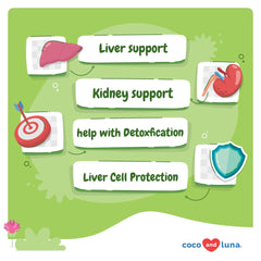 Milk thistle dog detox and liver support imagery