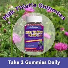 Pack of two Milk Thistle Gummies bottles showing 120 gummies total