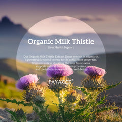 Dropper dispensing Milk Thistle liquid drops