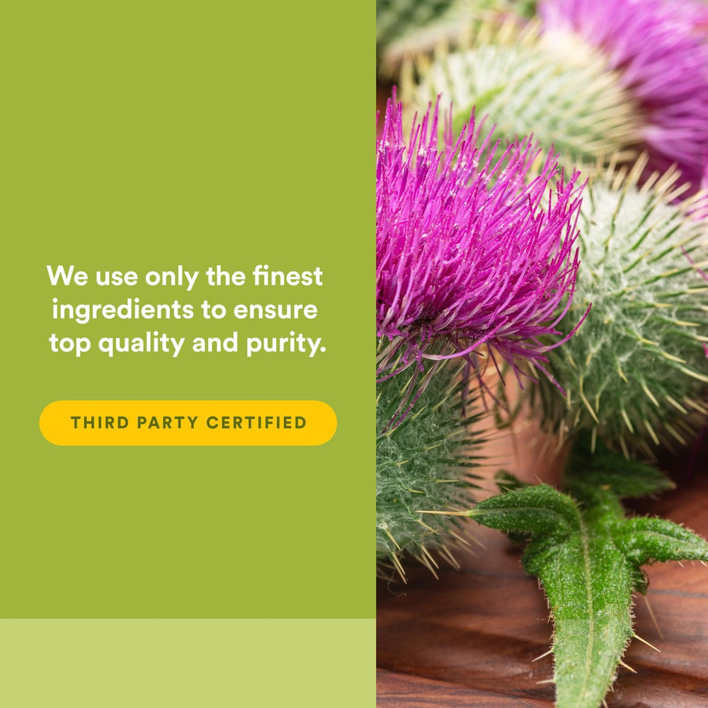 Ingredient concept: silymarin bound to phosphatidylcholine for absorption