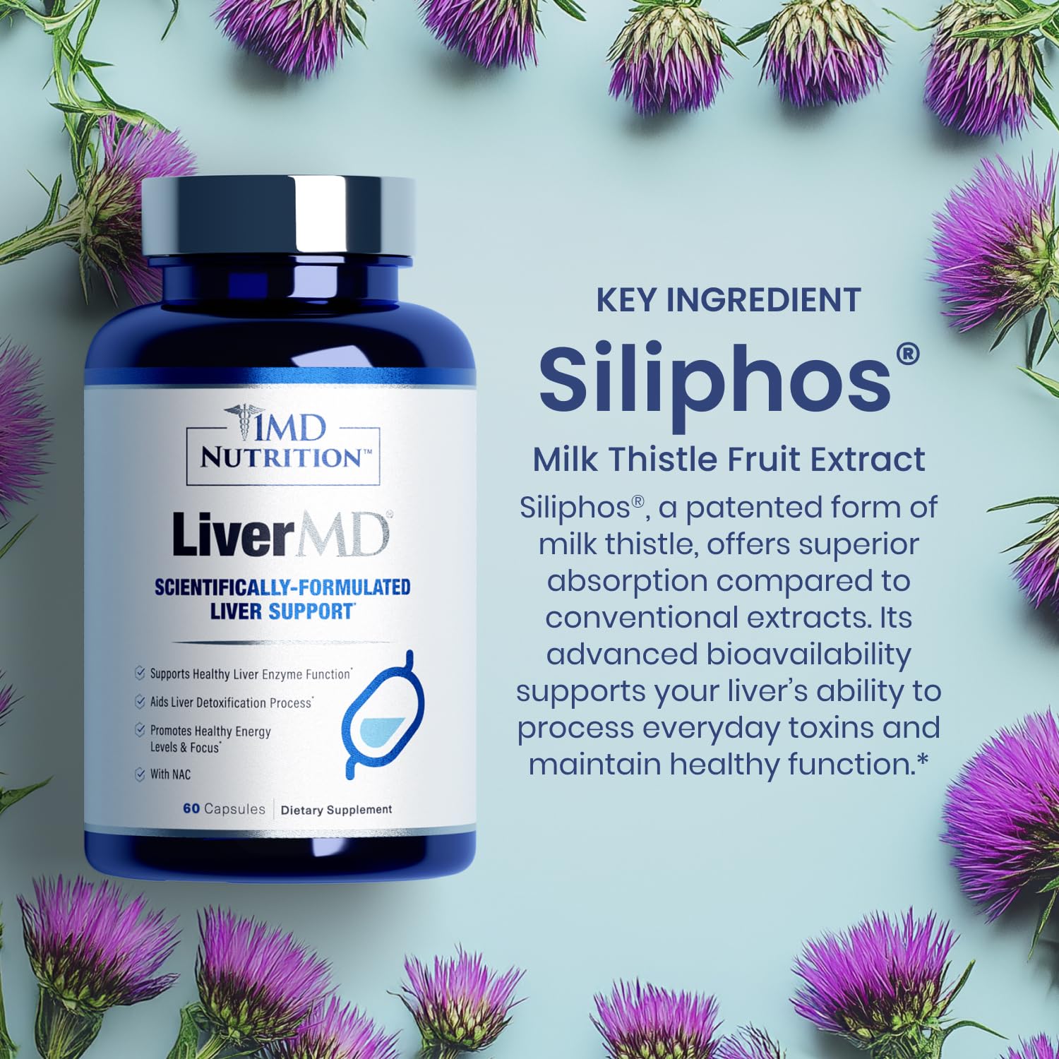 Milk thistle plant used for LiverMD