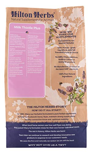 Close-up of Milk Thistle Plus ingredients
